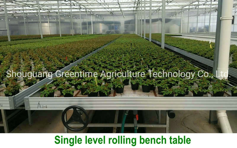 4X8 FT Customized Medical Plants Verical Grow Rack Multi Tier Mobile Flood Rolling Bench Table